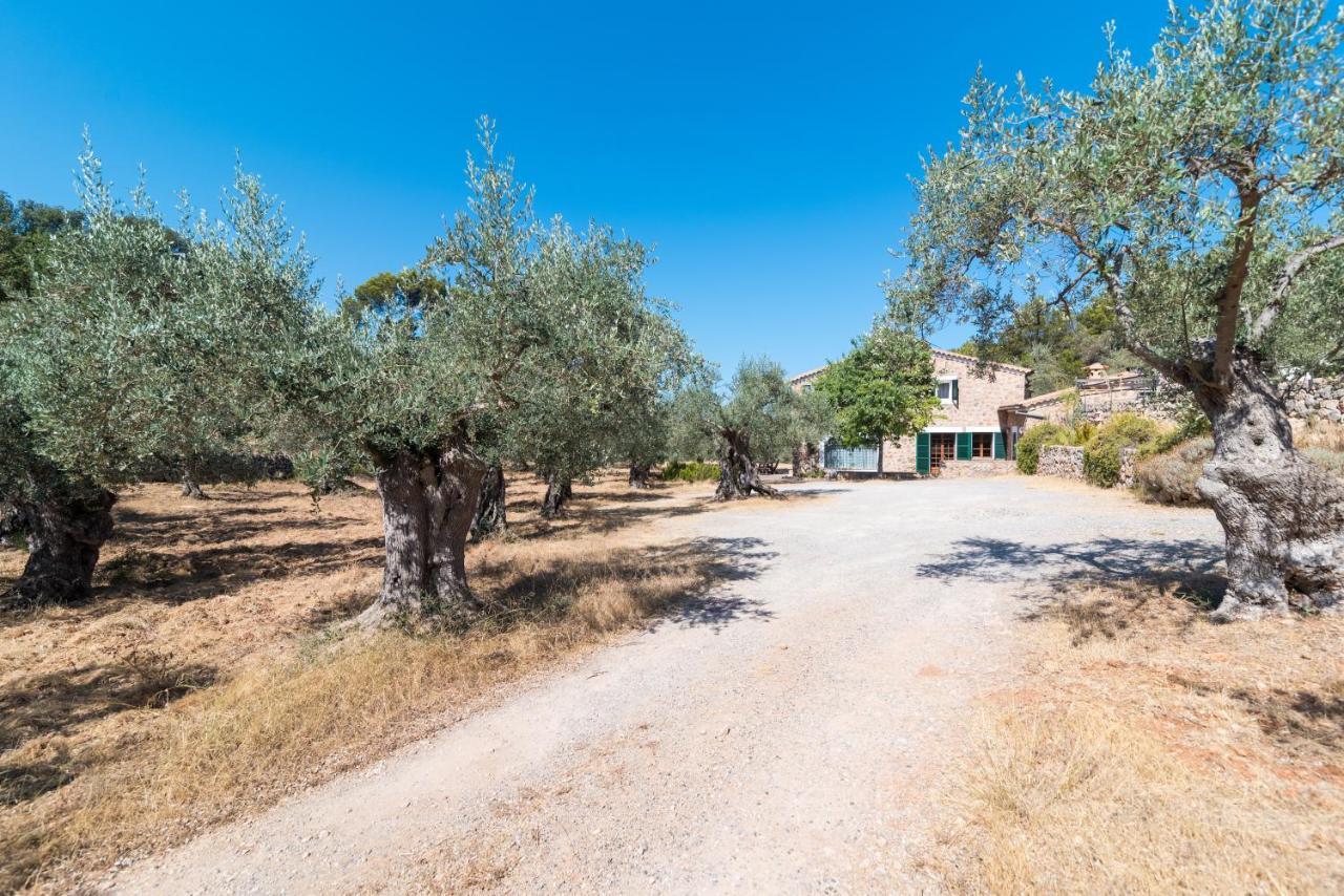 Coll den Pastor Villa Fornalutx Exteriör bild